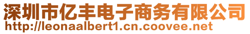 深圳市億豐電子商務有限公司