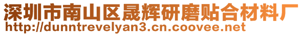 深圳市南山區(qū)晟輝研磨貼合材料廠