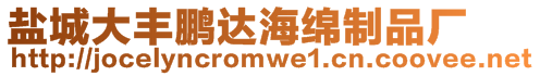 鹽城大豐鵬達(dá)海綿制品廠