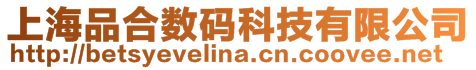 上海品合數碼科技有限公司
