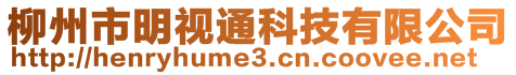 柳州市明視通科技有限公司