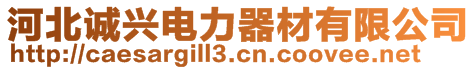 河北誠興電力器材有限公司