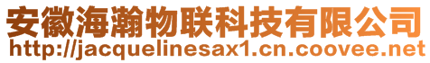 安徽海瀚物聯(lián)科技有限公司