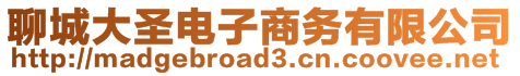 聊城大圣電子商務有限公司