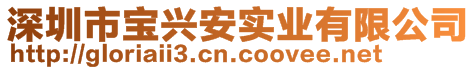 深圳市寶興安實(shí)業(yè)有限公司