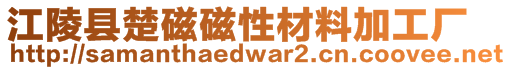 江陵縣楚磁磁性材料加工廠