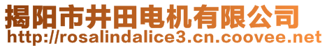 揭阳市井田电机有限公司