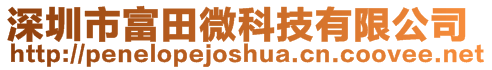 深圳市富田微科技有限公司