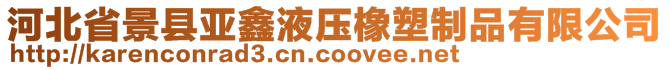 河北省景县亚鑫液压橡塑制品有限公司