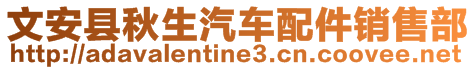 文安縣秋生汽車配件銷售部