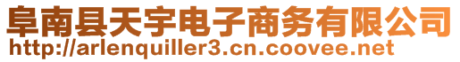 阜南縣天宇電子商務有限公司