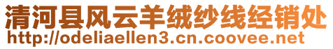 清河縣風(fēng)云羊絨紗線經(jīng)銷處