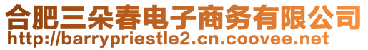 合肥三朵春電子商務有限公司