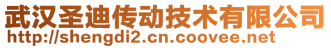 武漢圣迪傳動技術有限公司