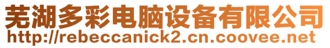 蕪湖多彩電腦設備有限公司