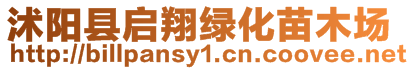 沭陽縣啟翔綠化苗木場