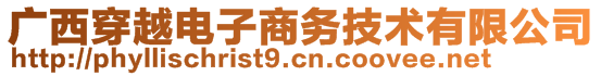 廣西穿越電子商務(wù)技術(shù)有限公司