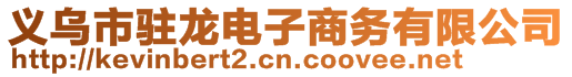 义乌市驻龙电子商务有限公司