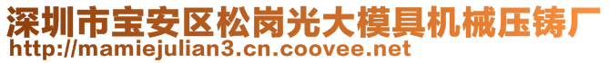 深圳市寶安區松崗光大模具機械壓鑄廠