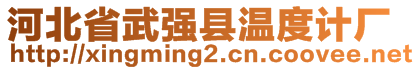 河北省武強(qiáng)縣溫度計廠