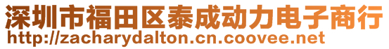 深圳市福田區(qū)泰成動力電子商行