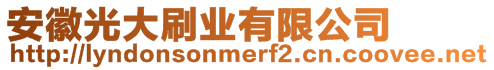 安徽光大刷業有限公司