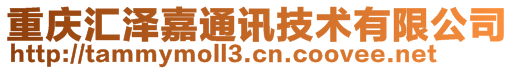 重慶匯澤嘉通訊技術(shù)有限公司