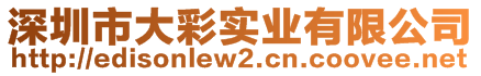 深圳市大彩实业有限公司