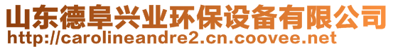 山東德阜興業(yè)環(huán)保設備有限公司