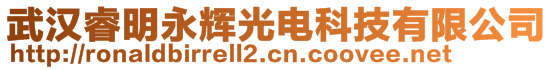 武漢睿明永輝光電科技有限公司
