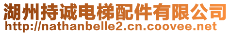 湖州持誠電梯配件有限公司