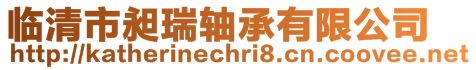 臨清市昶瑞軸承有限公司