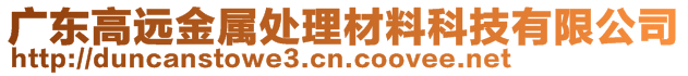 广东高远金属处理材料科技有限公司