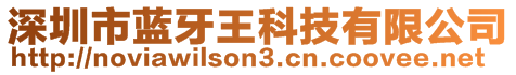 深圳市藍(lán)牙王科技有限公司