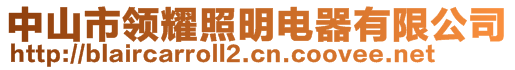 中山市领耀照明电器有限公司