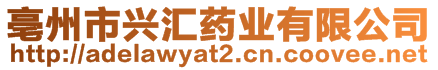 亳州市興匯藥業(yè)有限公司