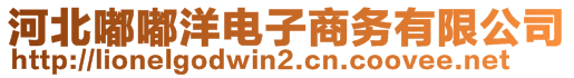 河北嘟嘟洋電子商務(wù)有限公司