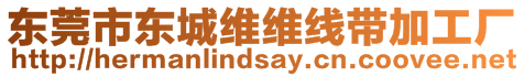 東莞市東城維維線帶加工廠