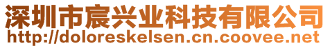 深圳市宸兴业科技有限公司