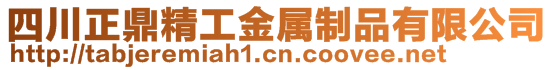 四川正鼎精工金屬制品有限公司