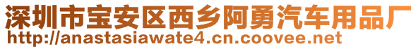 深圳市寶安區西鄉阿勇汽車用品廠