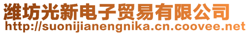 濰坊光新電子貿易有限公司