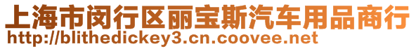 上海市閔行區(qū)麗寶斯汽車用品商行