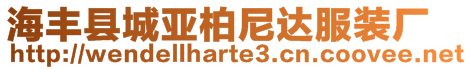 海丰县城亚柏尼达服装厂