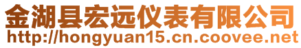 金湖縣宏遠儀表有限公司