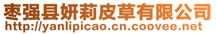 棗強縣妍莉皮草有限公司