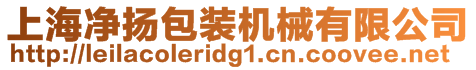 上海凈揚包裝機械有限公司