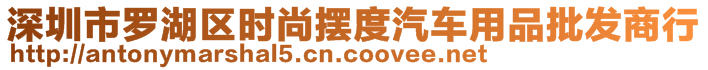 深圳市羅湖區(qū)時(shí)尚擺度汽車(chē)用品批發(fā)商行