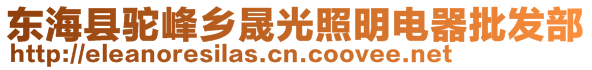 東?？h駝峰鄉(xiāng)晟光照明電器批發(fā)部