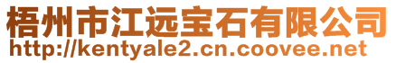 梧州市江遠(yuǎn)寶石有限公司